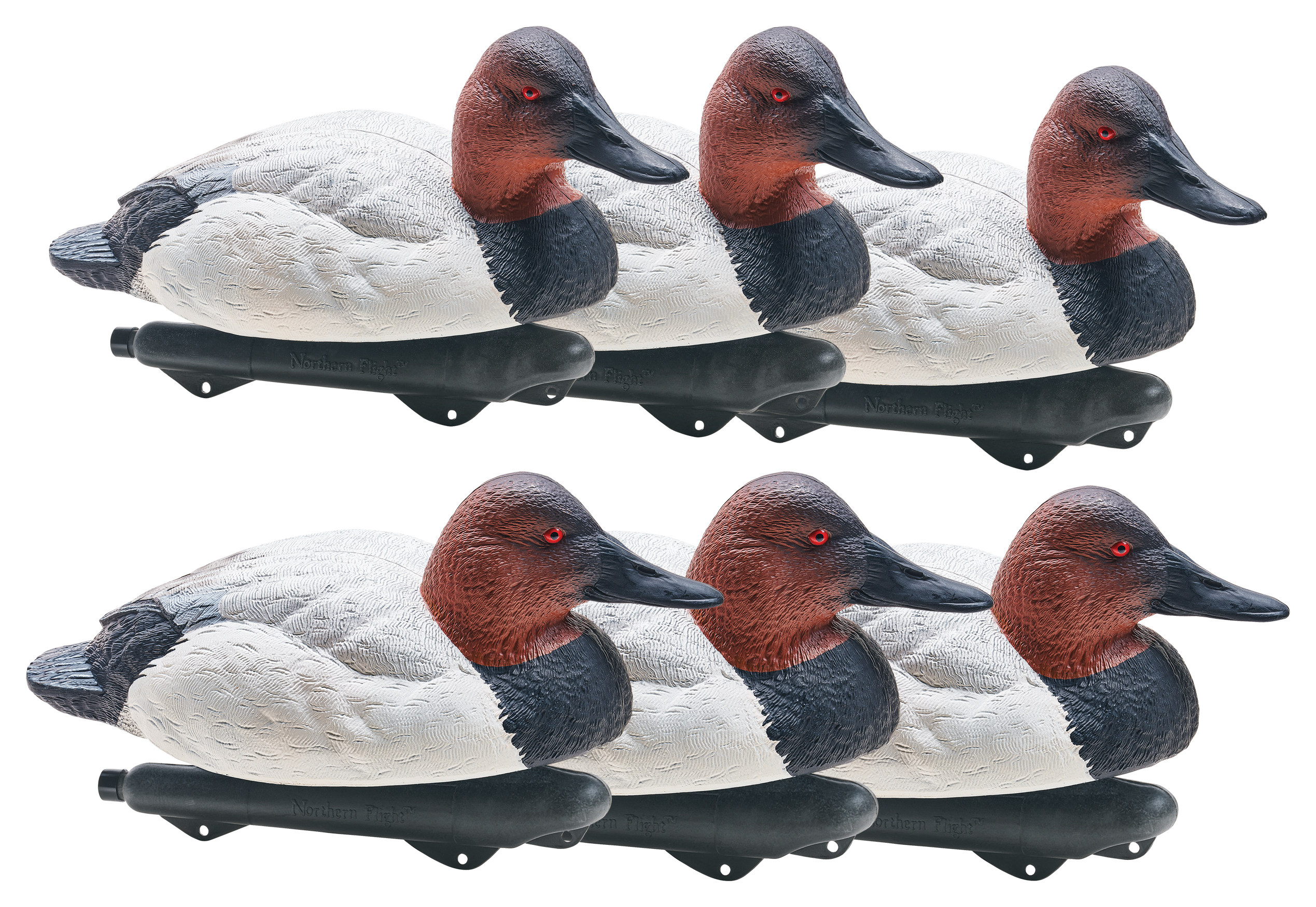 Northern Flight Canvasback Duck Decoys Cabela's